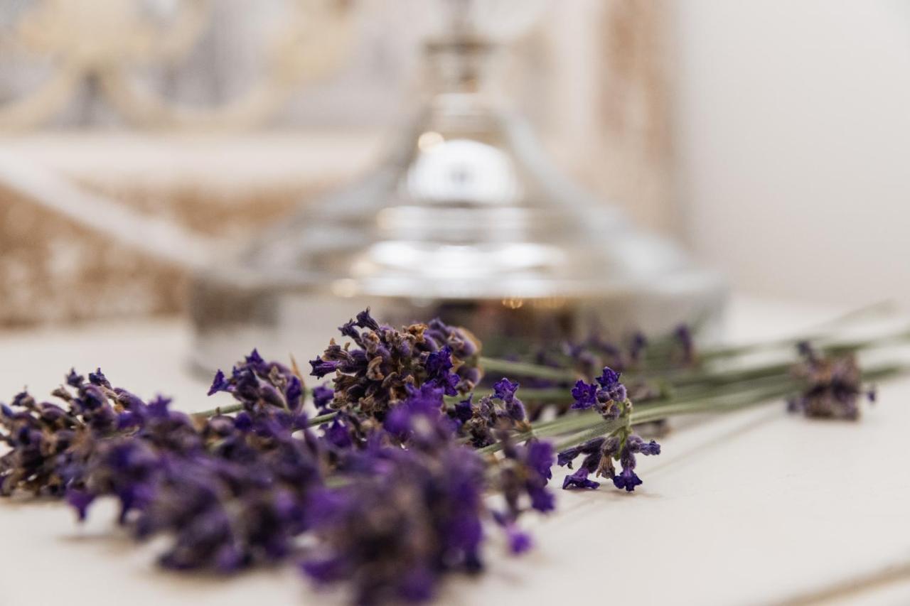 The French Boudoir Apartment เอแปร์เน ภายนอก รูปภาพ